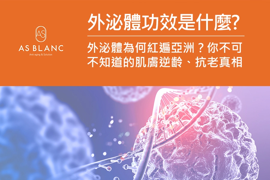 外泌體功效是什麼外泌體為何紅遍亞洲？你不可不知道的肌膚逆齡、抗老真相