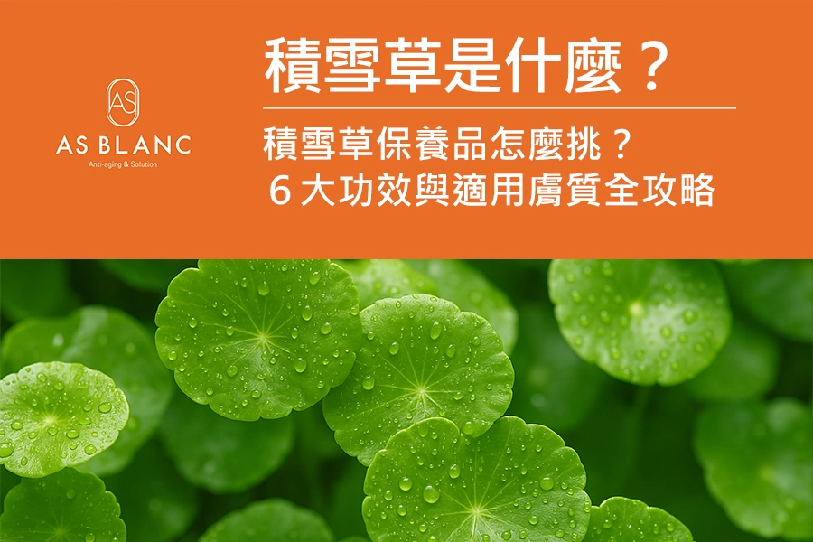 積雪草是什麼?積雪草保養品怎麼挑?6大功效與適用膚質全攻略